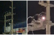 Imagen de Personal de la EPE trabaj&oacute; anoche en este transformador