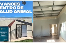 Imagen de Avanza la reconstrucci&oacute;n del Centro de Salud Animal tras los da&ntilde;os por la tormenta