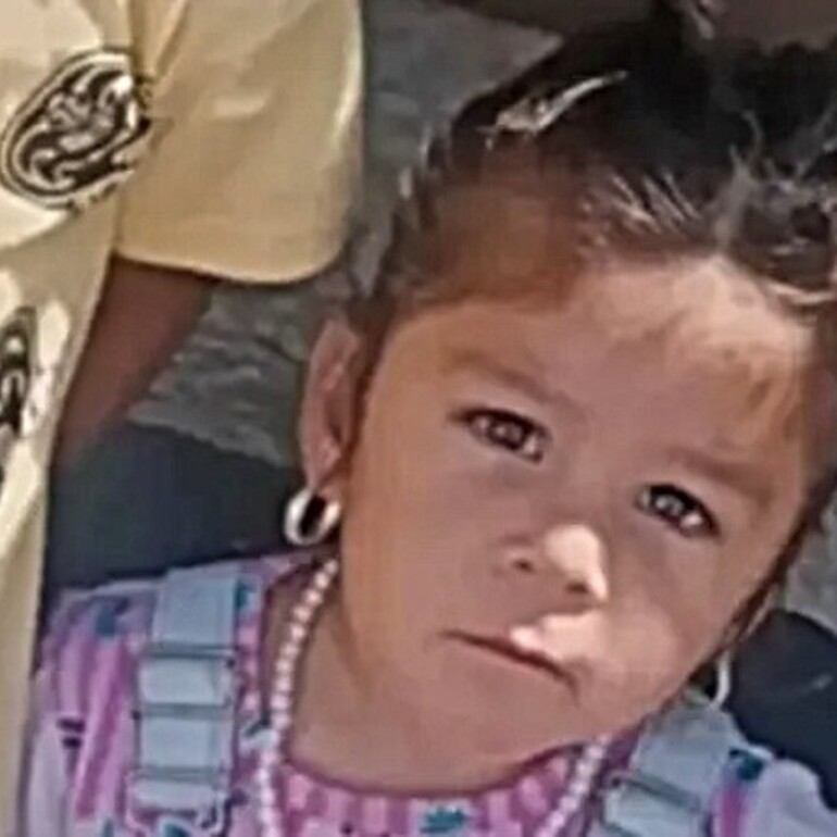 Imagen de Activaron el Alerta Sof&iacute;a por la desaparici&oacute;n de una ni&ntilde;a de 2 a&ntilde;os en C&oacute;rdoba