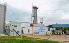 Imagen de Crisis en la industria l&aacute;ctea: salarios impagos y planta paralizada en una firma santafesina