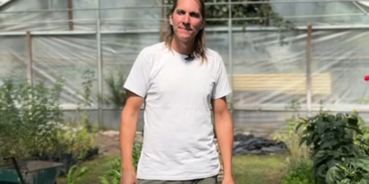 Imagen de Nuevo taller de huerta oto&ntilde;o/invierno en el vivero Estaci&oacute;n Verde