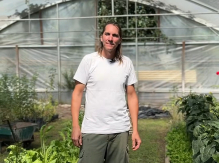 Imagen de Nuevo taller de huerta oto&ntilde;o/invierno en el vivero Estaci&oacute;n Verde