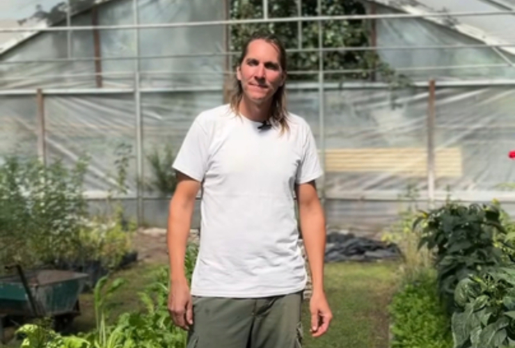 Imagen de Nuevo taller de huerta oto&ntilde;o/invierno en el vivero Estaci&oacute;n Verde