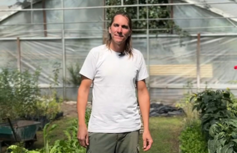 Imagen de Nuevo taller de huerta oto&ntilde;o/invierno en el vivero Estaci&oacute;n Verde