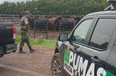 Imagen de Santa Teresa: tras una campa&ntilde;a en redes, el agroinfluencer "La Joya Agro" recuper&oacute; gran parte de su ganado robado