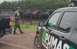 Imagen de Santa Teresa: tras una campa&ntilde;a en redes, el agroinfluencer "La Joya Agro" recuper&oacute; gran parte de su ganado robado