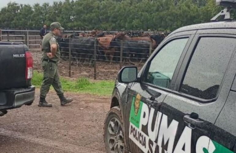 Imagen de Santa Teresa: tras una campa&ntilde;a en redes, el agroinfluencer "La Joya Agro" recuper&oacute; gran parte de su ganado robado