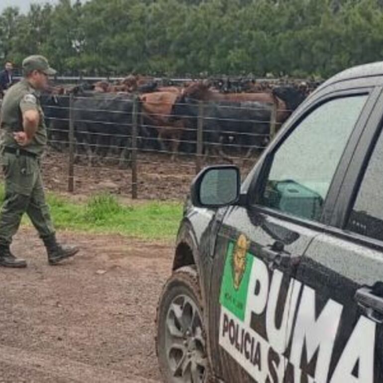 Imagen de Santa Teresa: tras una campa&ntilde;a en redes, el agroinfluencer "La Joya Agro" recuper&oacute; gran parte de su ganado robado