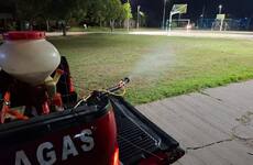 Imagen de Pav&oacute;n refuerza tareas de prevenci&oacute;n y control de plagas en espacios p&uacute;blicos