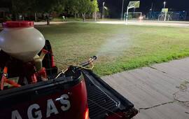 Imagen de Pav&oacute;n refuerza tareas de prevenci&oacute;n y control de plagas en espacios p&uacute;blicos
