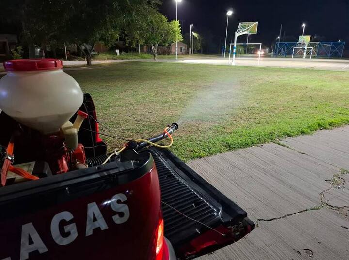 Imagen de Pav&oacute;n refuerza tareas de prevenci&oacute;n y control de plagas en espacios p&uacute;blicos
