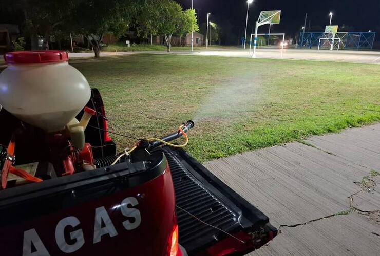 Imagen de Pav&oacute;n refuerza tareas de prevenci&oacute;n y control de plagas en espacios p&uacute;blicos