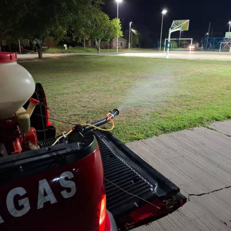 Imagen de Pav&oacute;n refuerza tareas de prevenci&oacute;n y control de plagas en espacios p&uacute;blicos
