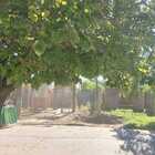 Imagen de Indignación en calle Alvarado: denuncian que barrenderos municipales dejan la basura acumulada Imagen de Indignación en calle Alvarado: denuncian que barrenderos municipales dejan la basura acumulada