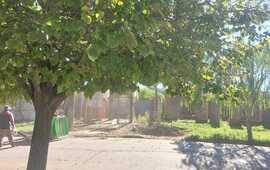 Imagen de Indignaci&oacute;n en calle Alvarado: denuncian que barrenderos municipales dejan la basura acumulada