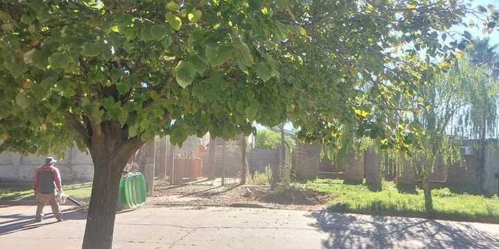 Imagen de Indignaci&oacute;n en calle Alvarado: denuncian que barrenderos municipales dejan la basura acumulada