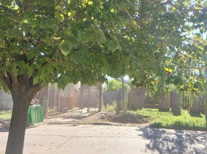 Imagen de Indignaci&oacute;n en calle Alvarado: denuncian que barrenderos municipales dejan la basura acumulada