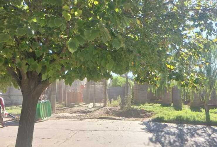 Imagen de Indignaci&oacute;n en calle Alvarado: denuncian que barrenderos municipales dejan la basura acumulada