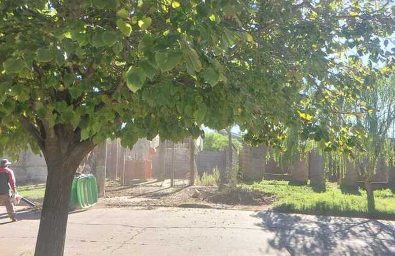 Imagen de Indignaci&oacute;n en calle Alvarado: denuncian que barrenderos municipales dejan la basura acumulada