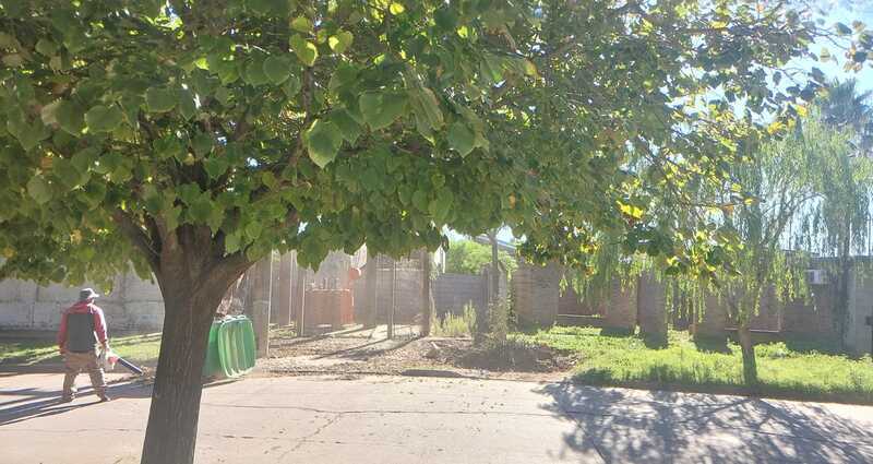 Imagen de Indignaci&oacute;n en calle Alvarado: denuncian que barrenderos municipales dejan la basura acumulada