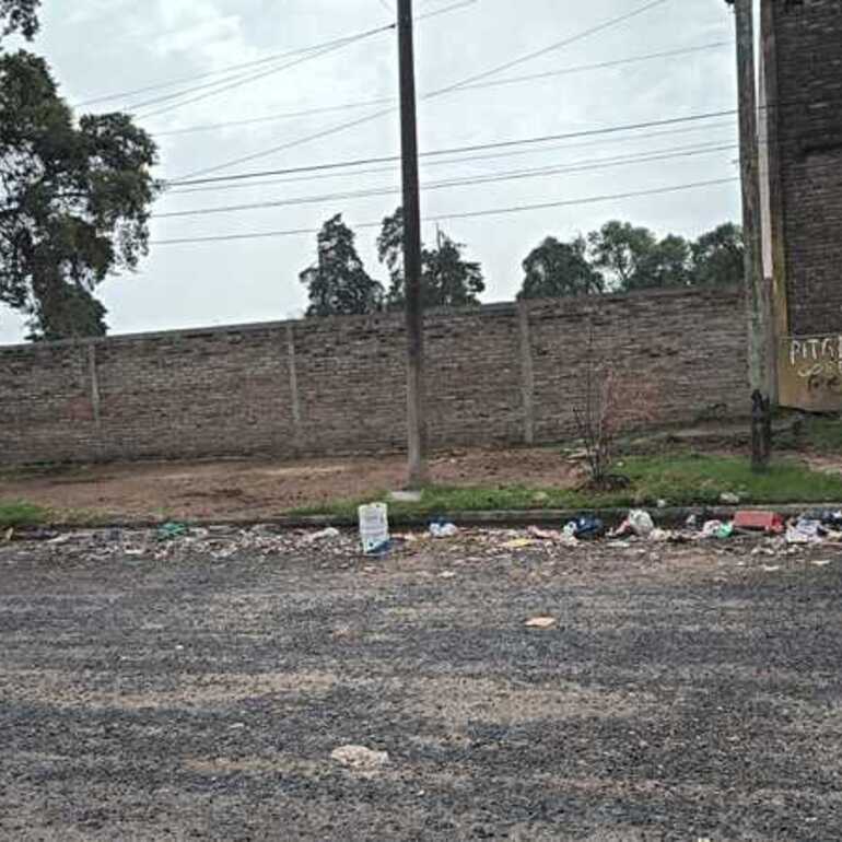 Imagen de Falta de contenedores en calle Independencia: vecinos reclaman por la acumulaci&oacute;n de basura en la v&iacute;a p&uacute;blica
