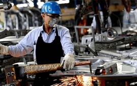 Imagen de Santa Fe: casi 800 empresas ya accedieron a beneficios fiscales por generar empleo