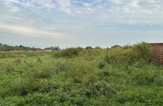 Imagen de Reclamos de calle Kennedy por pastizales altos y poca luz nocturna