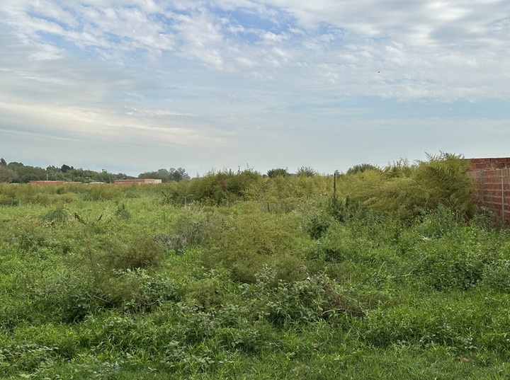 Imagen de Reclamos de calle Kennedy por pastizales altos y poca luz nocturna
