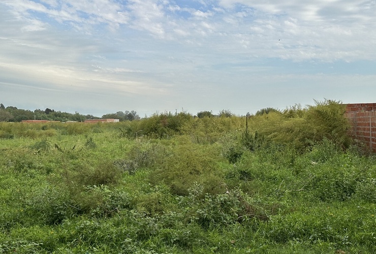 Imagen de Reclamos de calle Kennedy por pastizales altos y poca luz nocturna