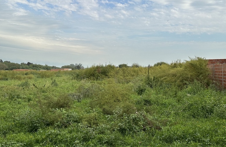 Imagen de Reclamos de calle Kennedy por pastizales altos y poca luz nocturna