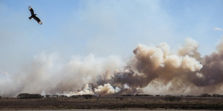 Imagen de Fuego en las islas: dictan falta de m&eacute;rito para los diez imputados por los incendios de 2022