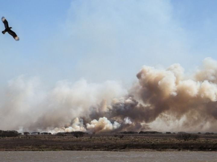 Imagen de Fuego en las islas: dictan falta de m&eacute;rito para los diez imputados por los incendios de 2022