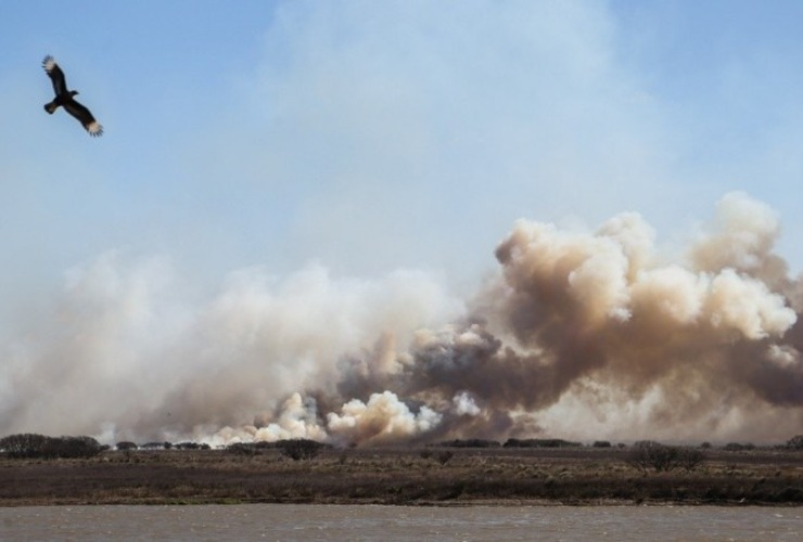 Imagen de Fuego en las islas: dictan falta de m&eacute;rito para los diez imputados por los incendios de 2022