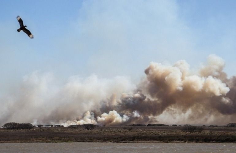 Imagen de Fuego en las islas: dictan falta de m&eacute;rito para los diez imputados por los incendios de 2022