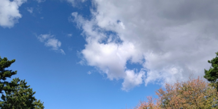 Imagen de Para hoy se espera una jornada de sol y buen clima