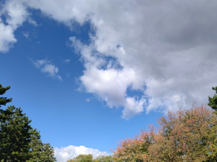 Imagen de Para hoy se espera una jornada de sol y buen clima