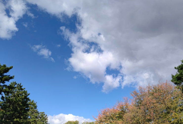 Imagen de Para hoy se espera una jornada de sol y buen clima