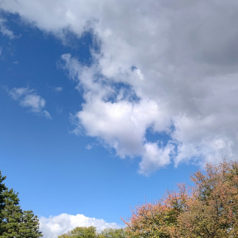 Imagen de Para hoy se espera una jornada de sol y buen clima