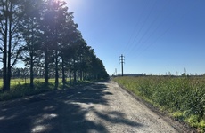 Imagen de Reclamo de vecino por pozos y falta de iluminaci&oacute;n en un camino a ADM