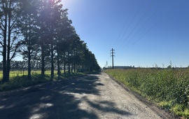 Imagen de Reclamo de vecino por pozos y falta de iluminaci&oacute;n en un camino a ADM