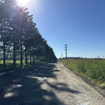 Imagen de Reclamo de vecino por pozos y falta de iluminaci&oacute;n en un camino a ADM