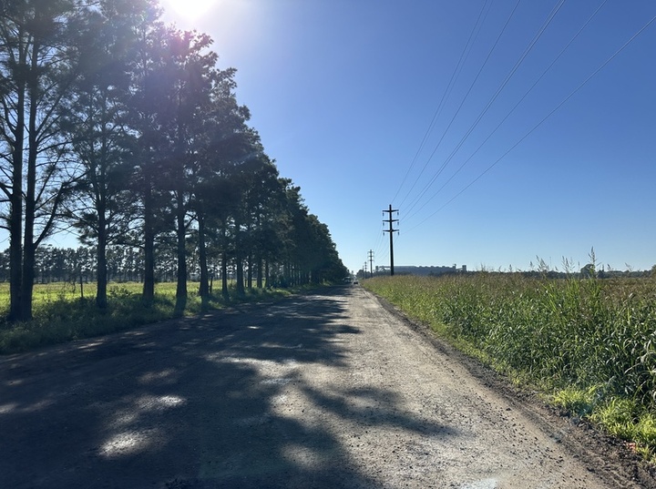 Imagen de Reclamo de vecino por pozos y falta de iluminaci&oacute;n en un camino a ADM
