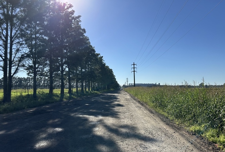 Imagen de Reclamo de vecino por pozos y falta de iluminaci&oacute;n en un camino a ADM