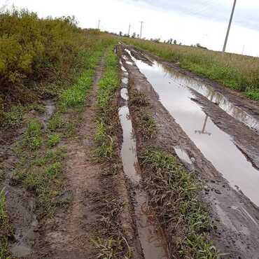 Imagen de Vecinos denuncian el deterioro del camino rural en Paraje El Omb&uacute; y apuntan contra el tr&aacute;nsito pesado