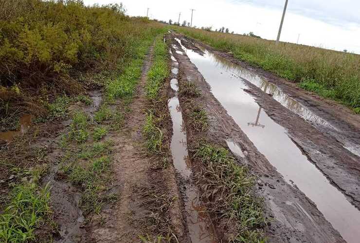 Imagen de Vecinos denuncian el deterioro del camino rural en Paraje El Omb&uacute; y apuntan contra el tr&aacute;nsito pesado