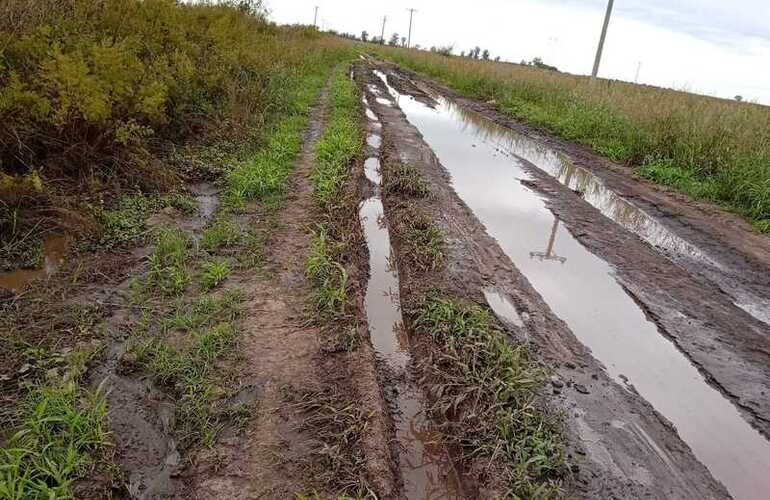 Imagen de Vecinos denuncian el deterioro del camino rural en Paraje El Omb&uacute; y apuntan contra el tr&aacute;nsito pesado