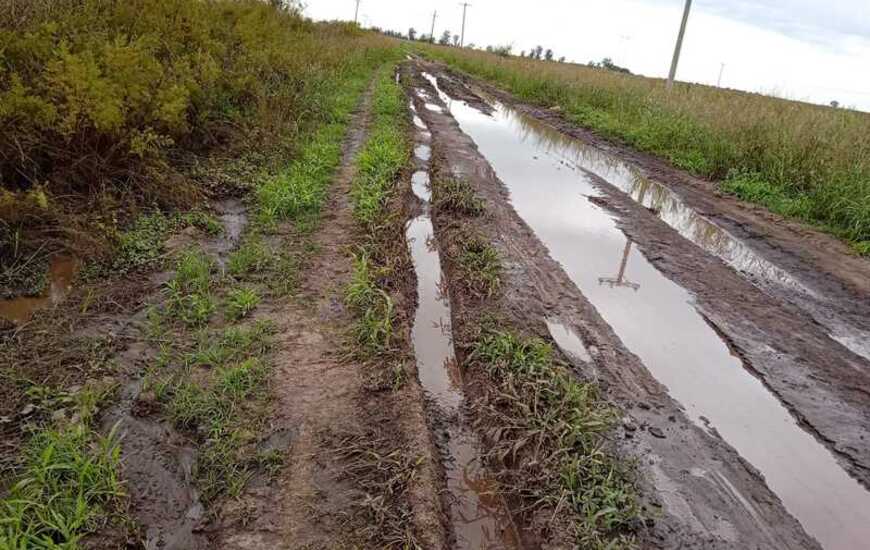 Imagen de Vecinos denuncian el deterioro del camino rural en Paraje El Omb&uacute; y apuntan contra el tr&aacute;nsito pesado