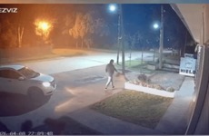 El debate sobre el maltrato animal en Funes vuelve a estar en el centro de la escena.