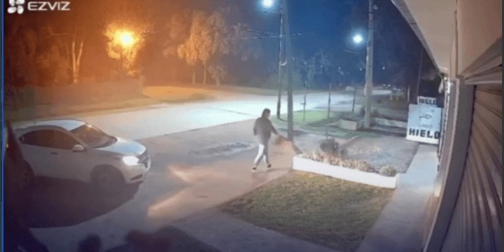 El debate sobre el maltrato animal en Funes vuelve a estar en el centro de la escena.