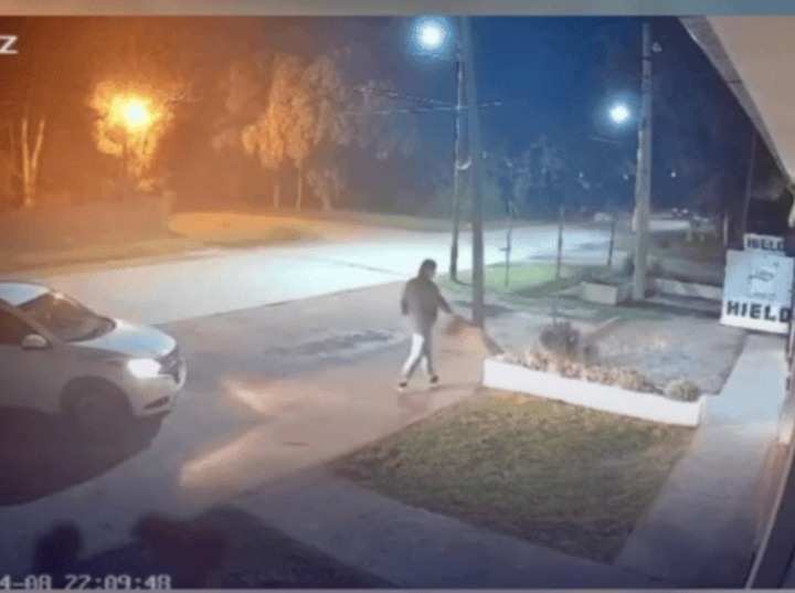 El debate sobre el maltrato animal en Funes vuelve a estar en el centro de la escena.